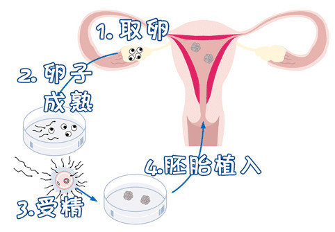 陈思远